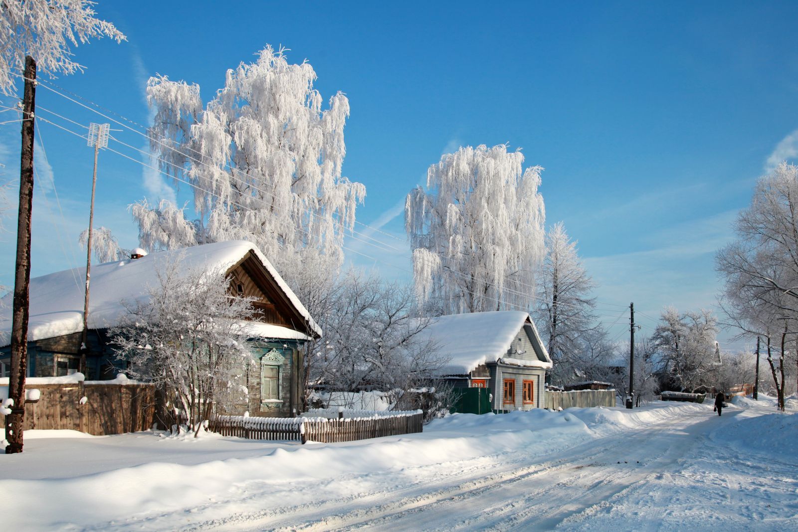 Самое Красивое Фото Зимы